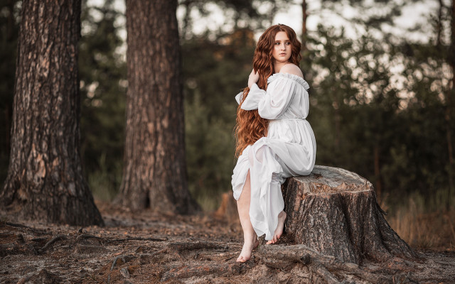 Woman white dress tree stump #3 free wallpaper - medium preview image