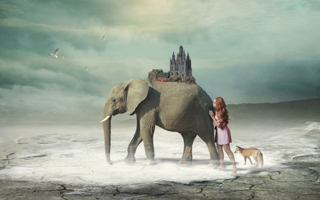 Woman elephant castle dog beach free wallpaper - medium preview image