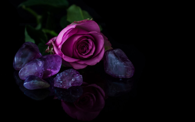 Purple rose crystals reflection black free wallpaper - medium preview image
