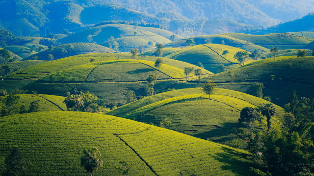 Green landscape trees hills blue free wallpaper - medium preview image
