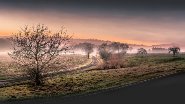 Misty tree road sunset horizon free wallpaper - medium preview image