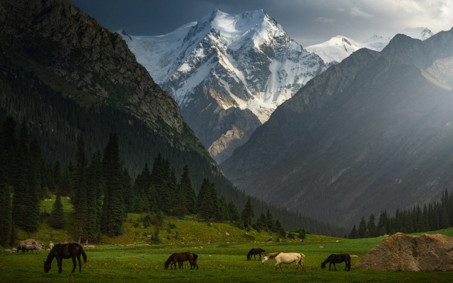 Horses grazing mountains clouds outdoors free wallpaper - medium preview image
