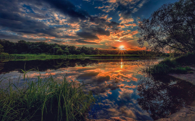 Sunset lake tree grass clouds free wallpaper - medium preview image