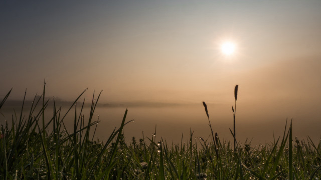 Sunshine water grass mountain forest free wallpaper - medium preview image