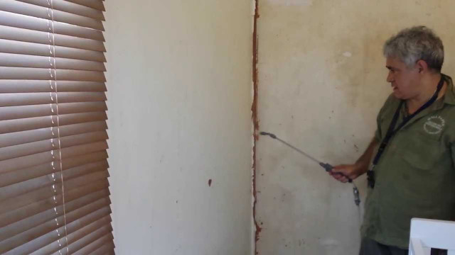 Man painting wall with rollers free wallpaper - medium preview image