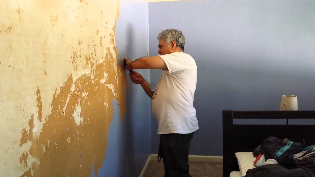 Man painting wall with rollers #3 free wallpaper - medium preview image