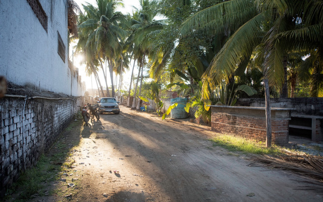 Car palm trees building matte free wallpaper - medium preview image