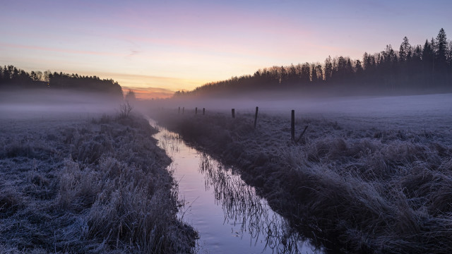 Stream forest sunset fog mountain free wallpaper - medium preview image
