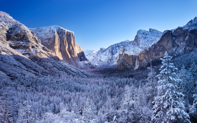 Snowy mountain valley forest mountain free wallpaper - medium preview image