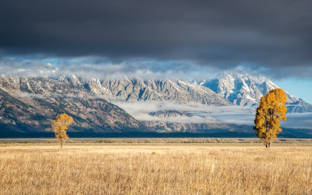 Field tree mountains clouds sunset free wallpaper - medium preview image