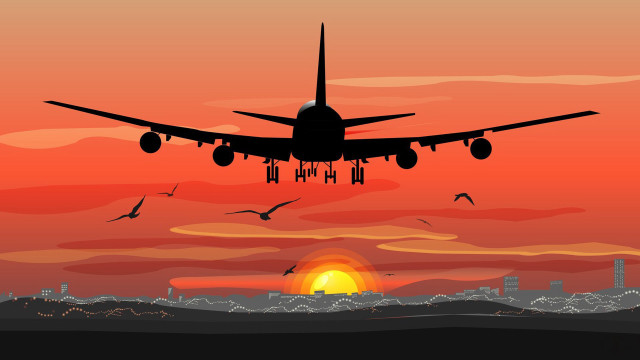 Sunset plane city birds matte free wallpaper - medium preview image