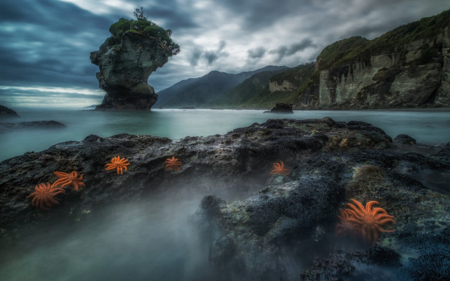 Rock formation sea stars cloudy free wallpaper - medium preview image