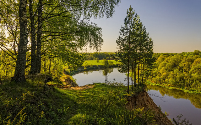 River forest hillside autumn nature free wallpaper - medium preview image