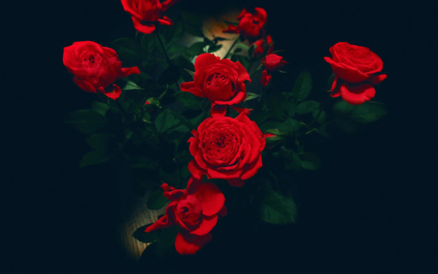 Red roses bouquet black background free wallpaper - medium preview image