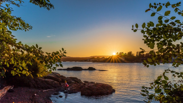 Sunset lake forest shore water free wallpaper - medium preview image