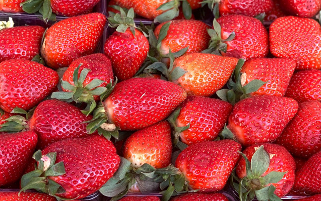 Strawberry basket closeup food berry free wallpaper - medium preview image