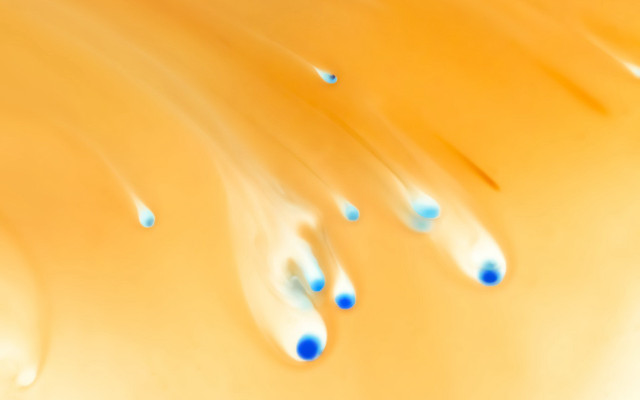 Blue drops yellow background water free wallpaper - medium preview image