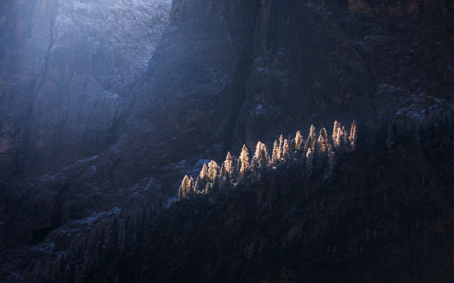 Snowy mountain trees volumetric light free wallpaper - medium preview image