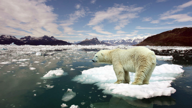 Polar bear ice floater mountains #3 free wallpaper - medium preview image