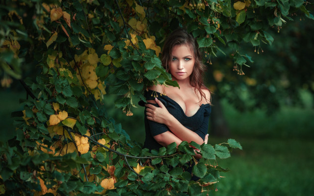 Woman black dress tree leaves #3 free wallpaper - medium preview image