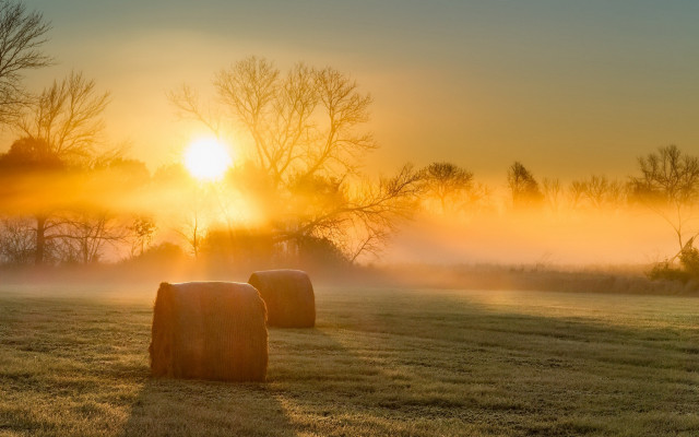 Hay bales foggy sunset volumetric free wallpaper - medium preview image