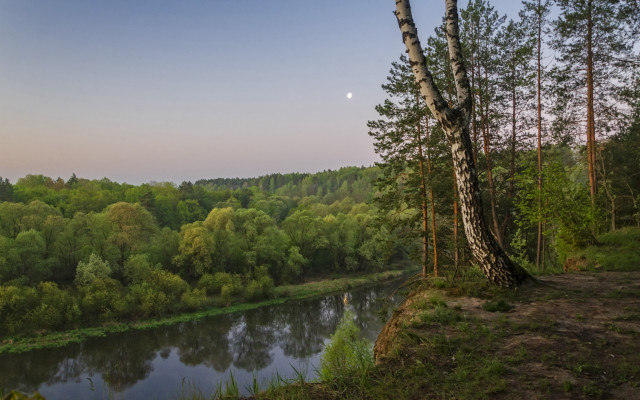 River forest half moon dusk free wallpaper - medium preview image