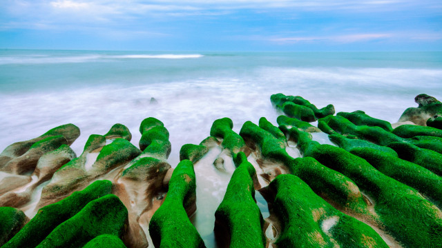 Beach green rocks water sky free wallpaper for desktop - medium preview image