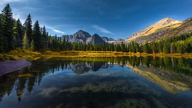 Mountain lake pine forest blue free wallpaper - medium preview image