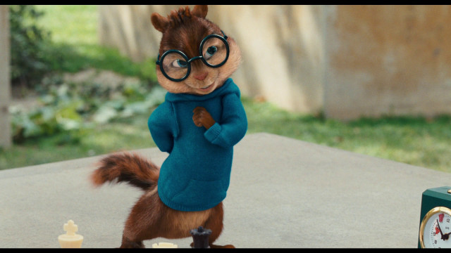 Squirrel blue sweater glasses clock free wallpaper - medium preview image