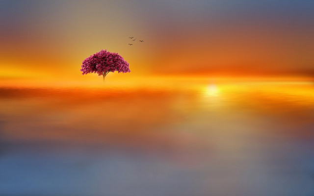 Tree sunset bird water fantasy free wallpaper - medium preview image