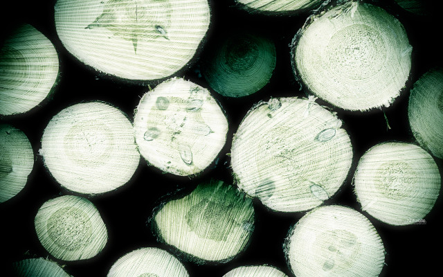 Wood pile halved stacked black free wallpaper - medium preview image