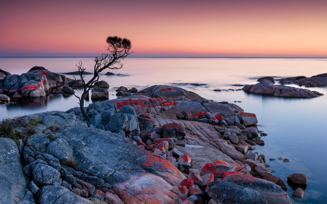 Lone tree rocks water sunset free wallpaper - medium preview image