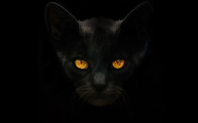 Black cat yellow eyes gothic #3 free wallpaper - medium preview image