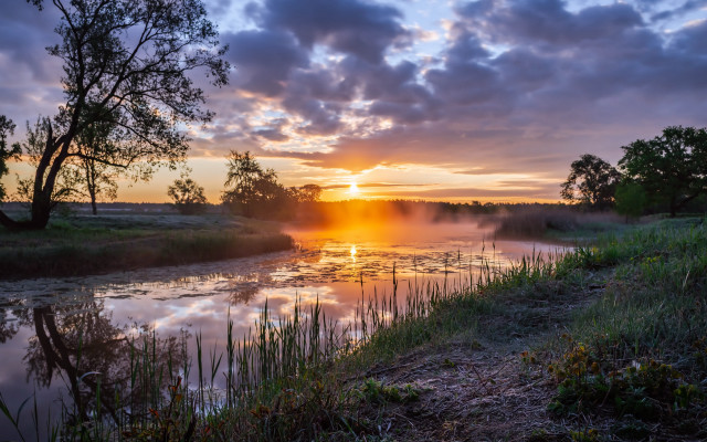 Sunset river clouds trees cityscape free wallpaper - medium preview image