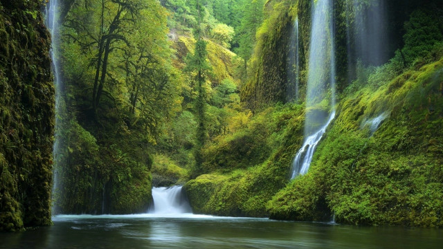 Waterfall forest river trees people free wallpaper - medium preview image