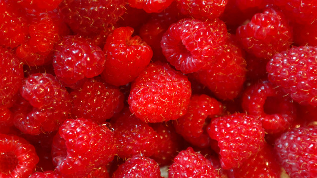 Raspberries plate fork knife macro free wallpaper - medium preview image