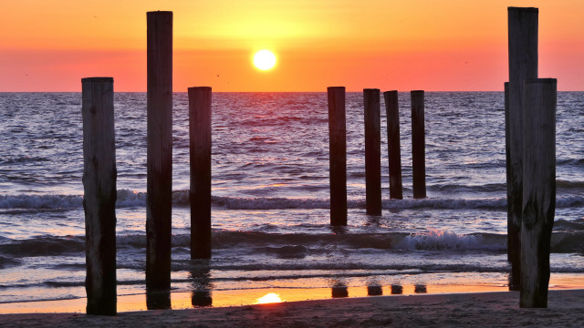 Sunset ocean pier bird sky free wallpaper - medium preview image