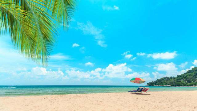 Palm tree beach umbrella sky free wallpaper - medium preview image
