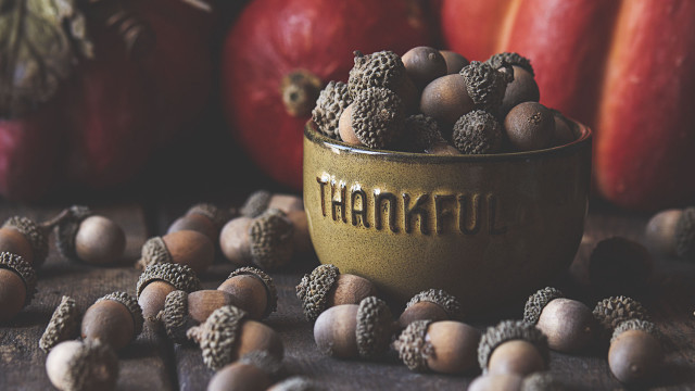 Bowl nuts table apples fruit free wallpaper - medium preview image