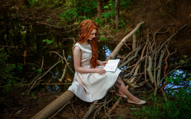 Woman forest reading book log free wallpaper - medium preview image