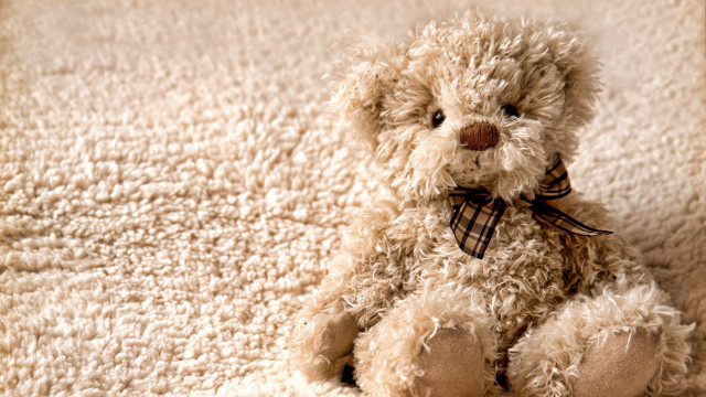 Teddy bear white carpet bow free wallpaper - medium preview image