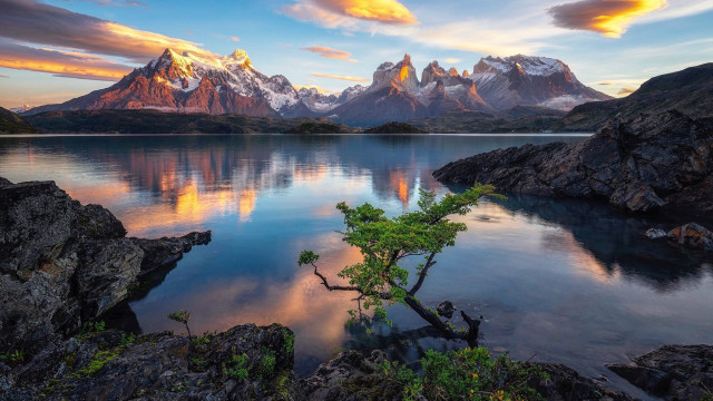 Tree shore lake mountains sunset free wallpaper - medium preview image