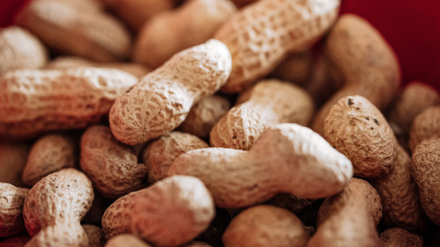 Peanuts red tablecloth red container free wallpaper - medium preview image