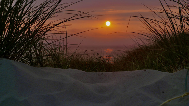 Sunset ocean grass sand dunes free wallpaper - medium preview image