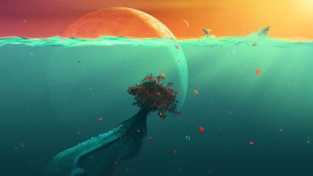 Tree water sun bird moon free wallpaper - medium preview image