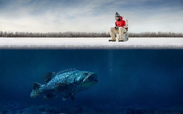 Man bench fish underwater sky free wallpaper - medium preview image