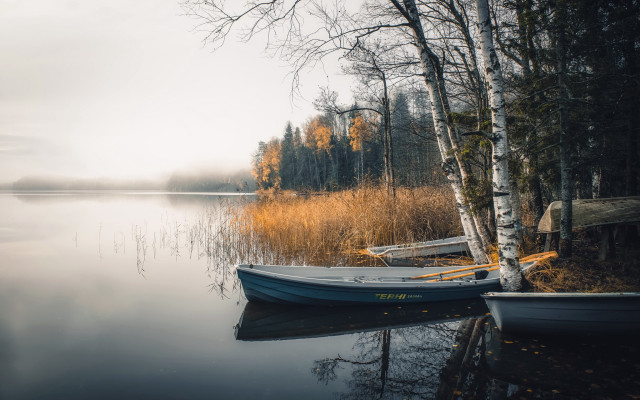 Boat shore tree lights city free wallpaper - medium preview image