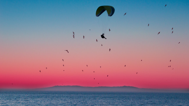 Birds ocean sunset parasailer pink free wallpaper - medium preview image