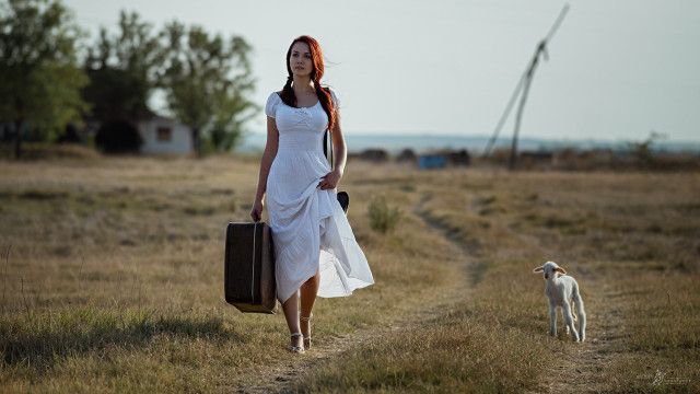 Woman dress suitcase dog liminal free wallpaper - medium preview image