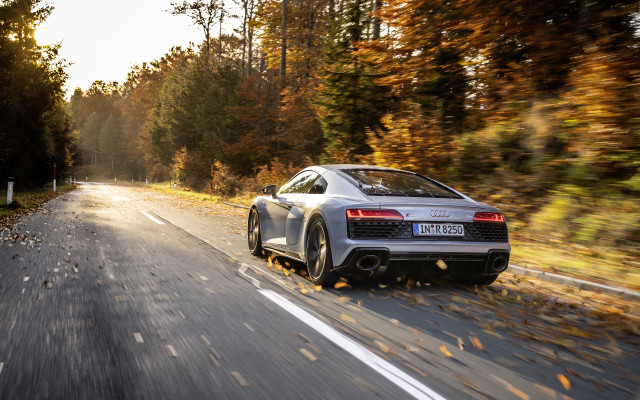 Silver car forest road sunset free wallpaper - medium preview image